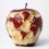25mappemondo
