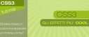 css3