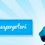 webdesigner